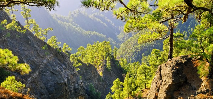 Amadea -Nationalpark  Caldera de Taburiente in La Palma, Spanien