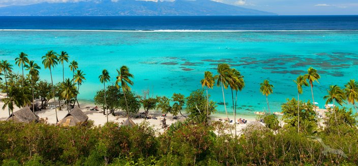 Artania -Strand in der Südsee auf Moorea