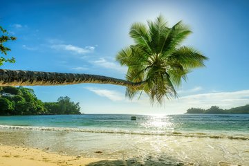 Paradiesischer Strand auf Mahé, Seychellen