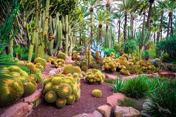 Botanischer Garten El Huerto del Cura, Spanien
