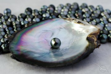 Schwarze Südseeperle