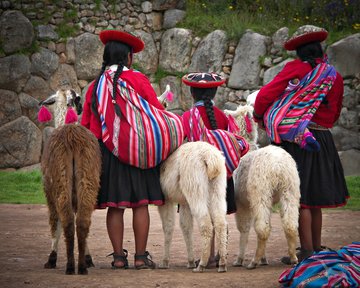 Mädchen und Lamas in einer Inka-Ruine, Peru