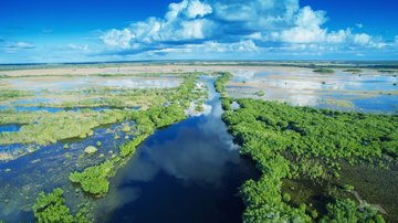 Der Everglades-Nationalpark, USA