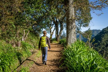 Wanderung durch den Wald