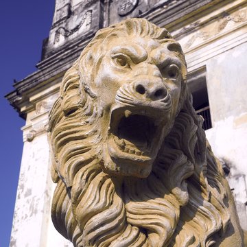 Löwe an der Kathedrale von León, Nicaragua