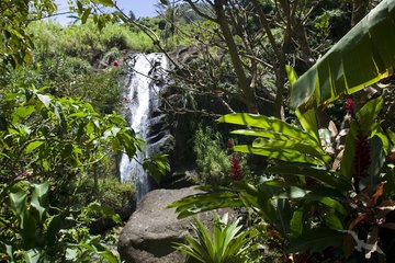 Concorde Wasserfall, Grenada
