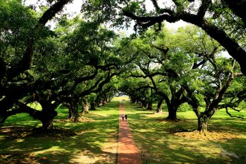 Oak Alley Plantage, USA