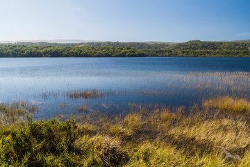 See im Nationalpark Chiloé, Chile